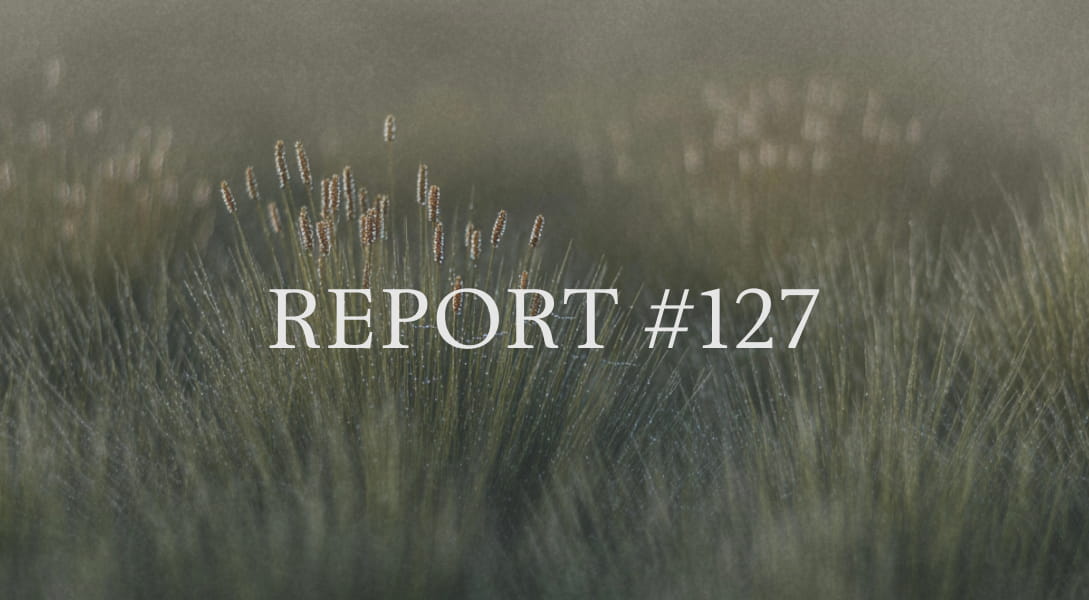 Muted research landscape for January review article